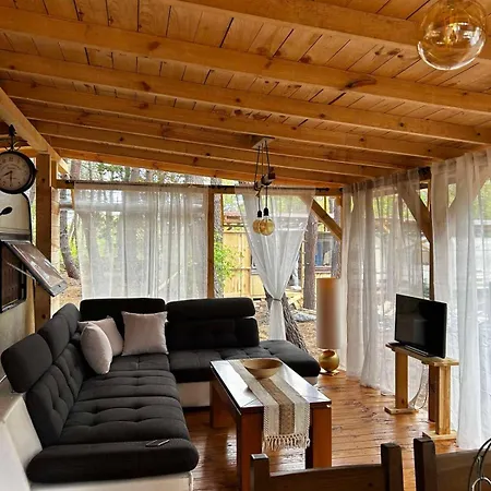 нереида 营地 *