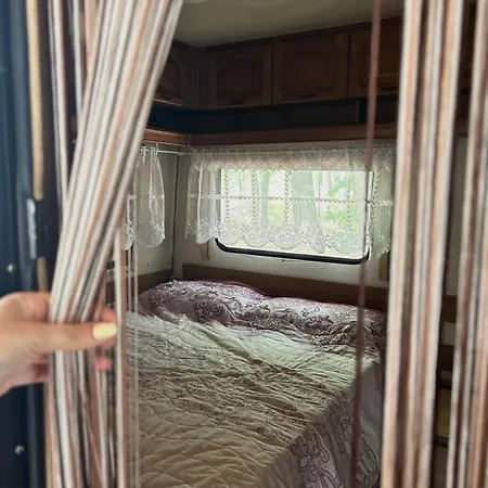 营地 нереида *