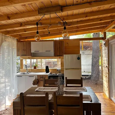 нереида אתר קמפינג